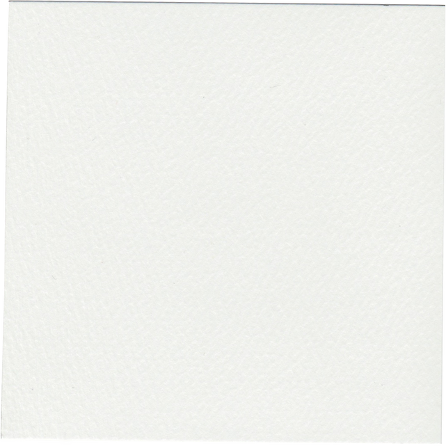 Paper Texture 