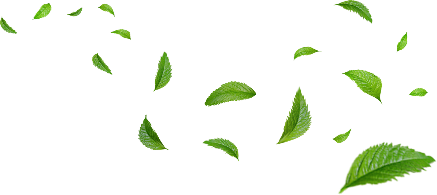 Green Floating Leaves Cutout
